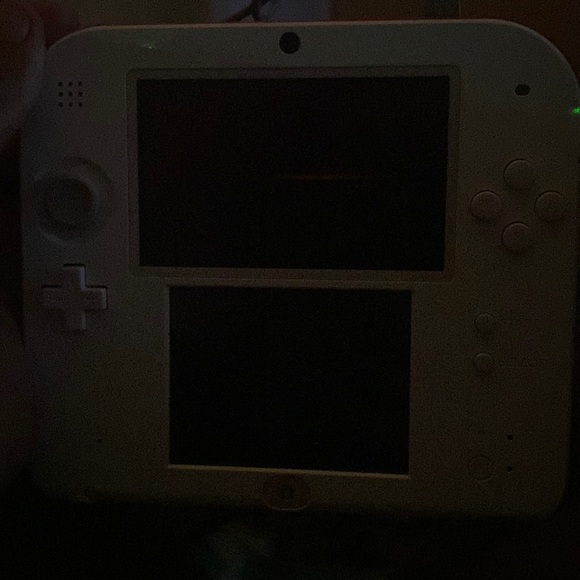 Nintendo Other - It come with a charger and stuff and it works all the way no problems with it